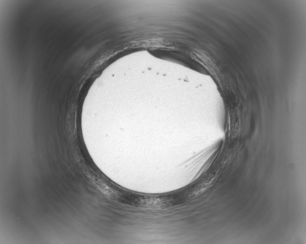 X0000067830301200605041630