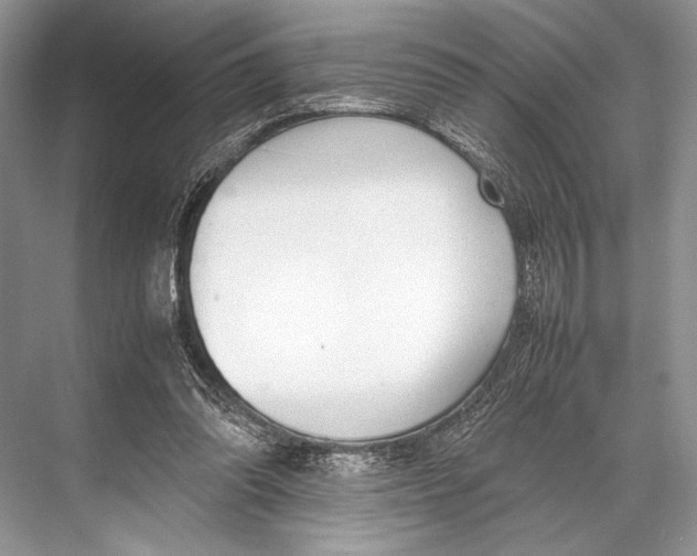 X0000067830302200605041630