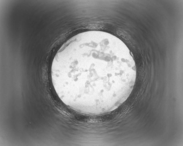 X0000067830303200605041630