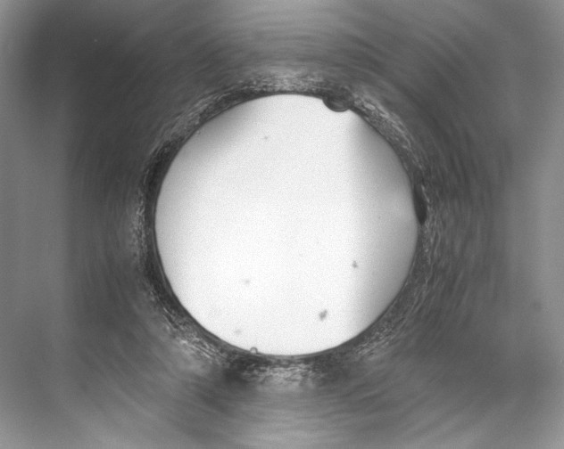 X0000067830306200605041630