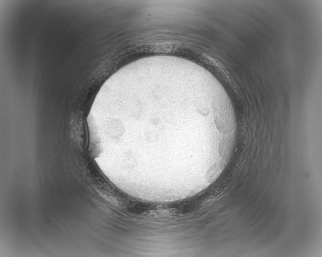 X0000067830307200605041630