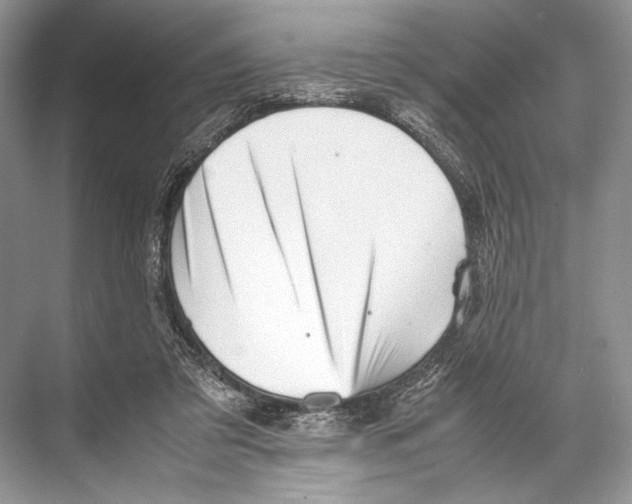 X0000067830309200605041630