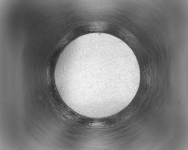 X0000067830312200605041630