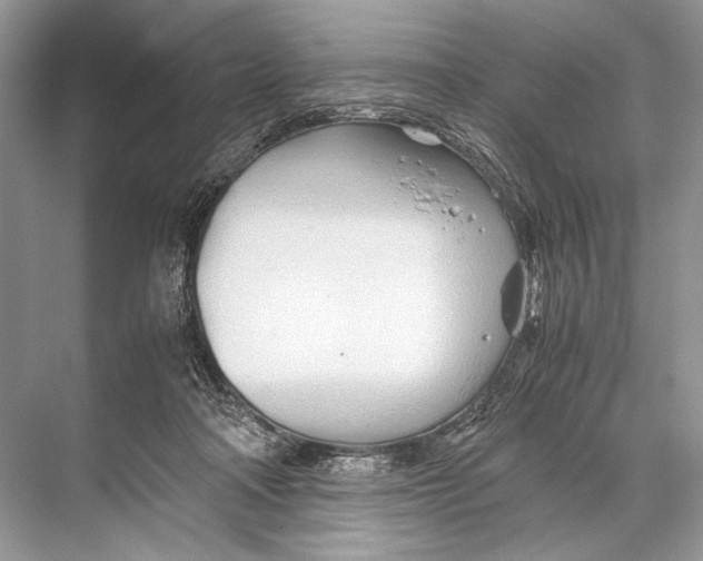 X0000067830314200605041630