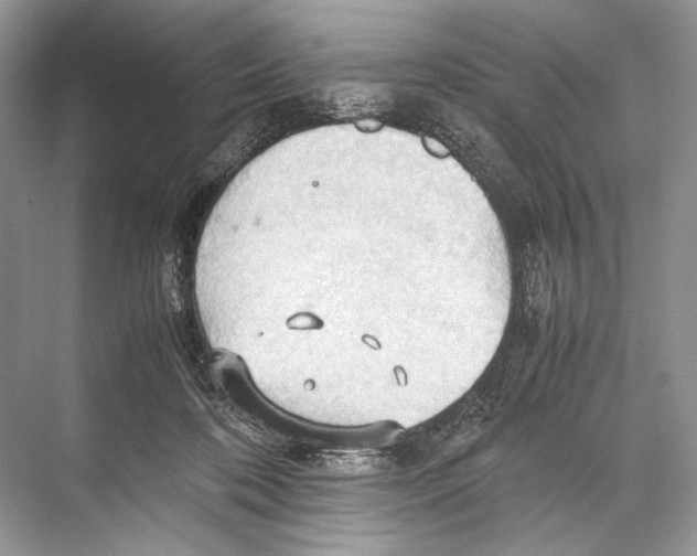 X0000067830316200605041630