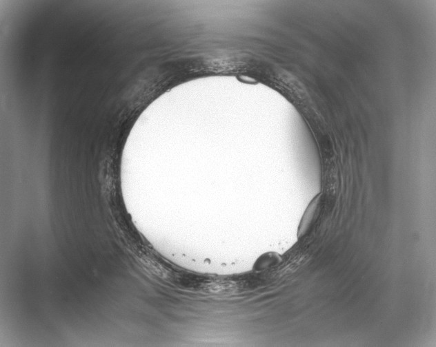 X0000067830317200605041630