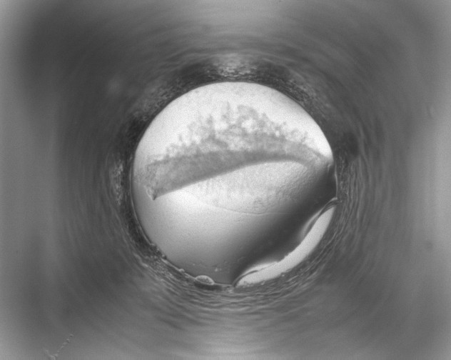 X0000067830319200605041630