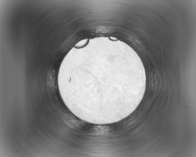 X0000067830328200605041630