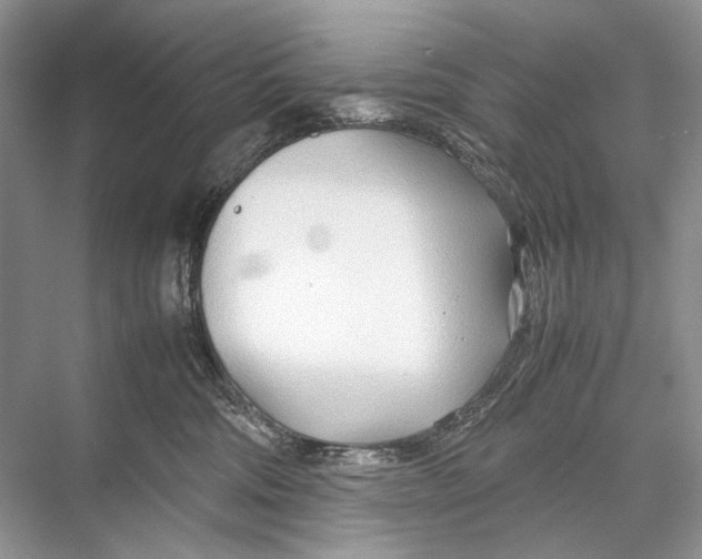 X0000067830330200605041630