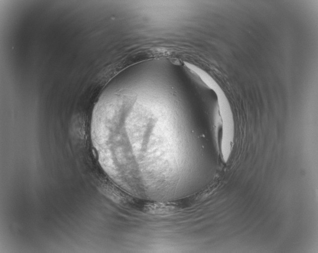 X0000067830331200605041630