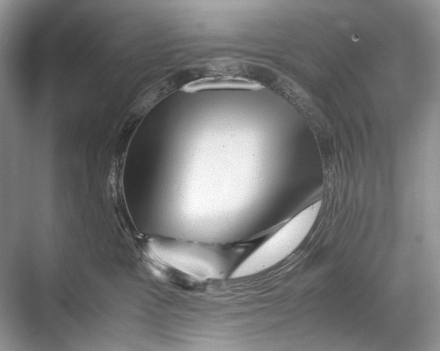 X0000067830333200605041630