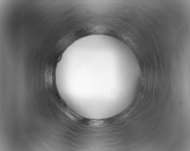 X0000067830334200605041630