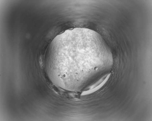 X0000067830335200605041630