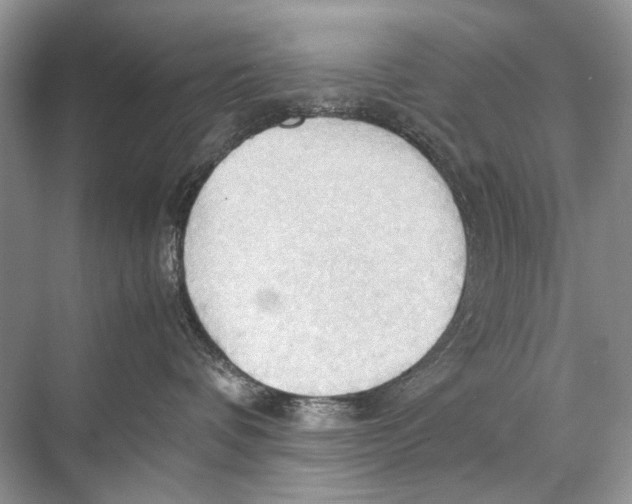 X0000067830336200605041630