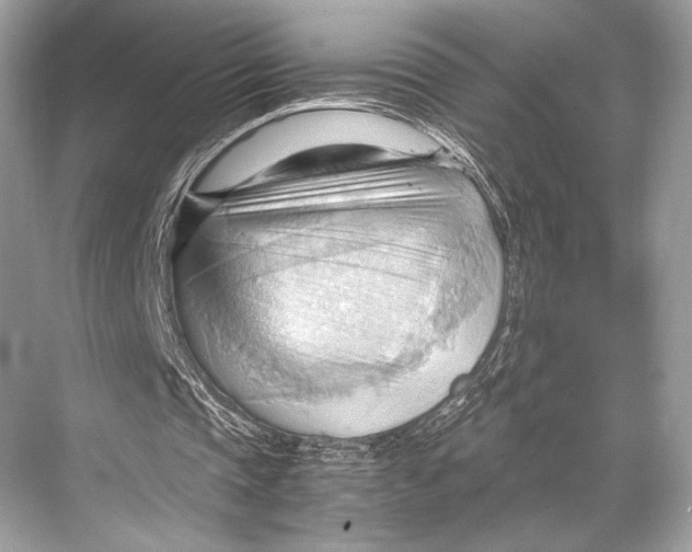 X0000067830337200605041629