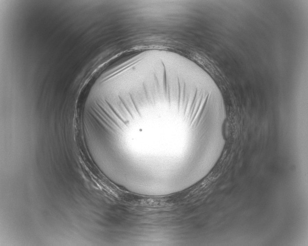 X0000067830338200605041629