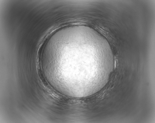 X0000067830339200605041629