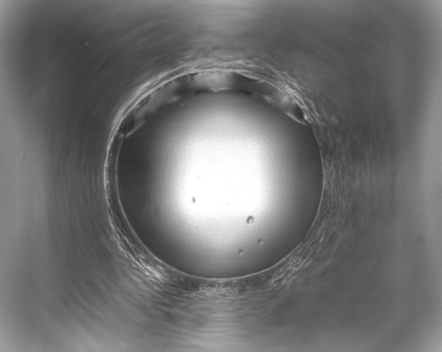 X0000067830340200605041629