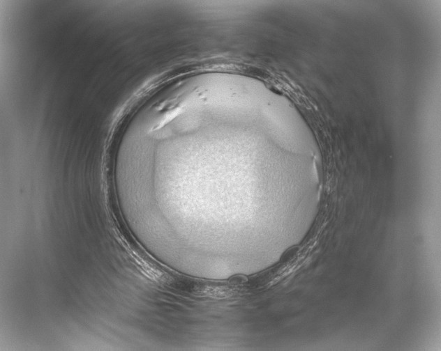 X0000067830341200605041629