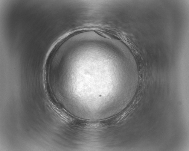 X0000067830342200605041629