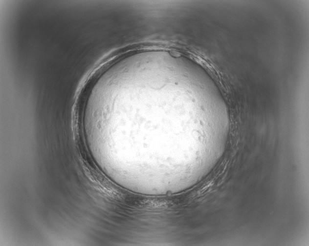 X0000067830343200605041629