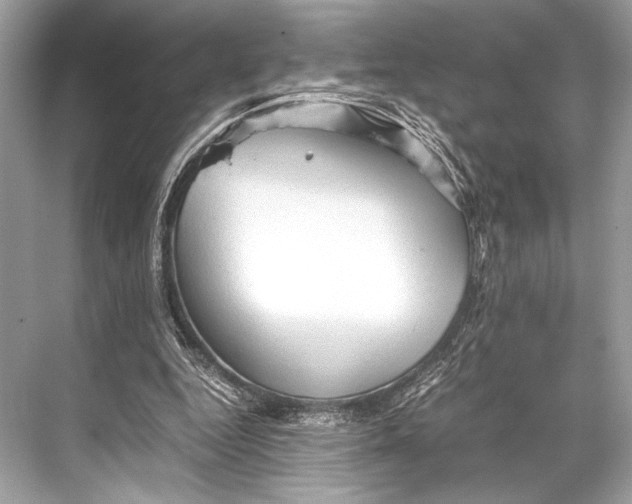 X0000067830344200605041629