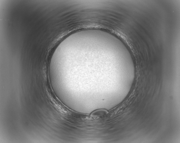 X0000067830345200605041629