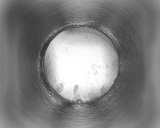 X0000067830346200605041629