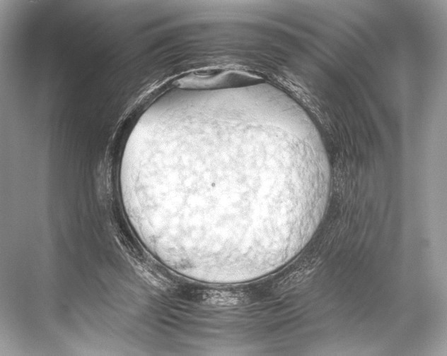 X0000067830347200605041629