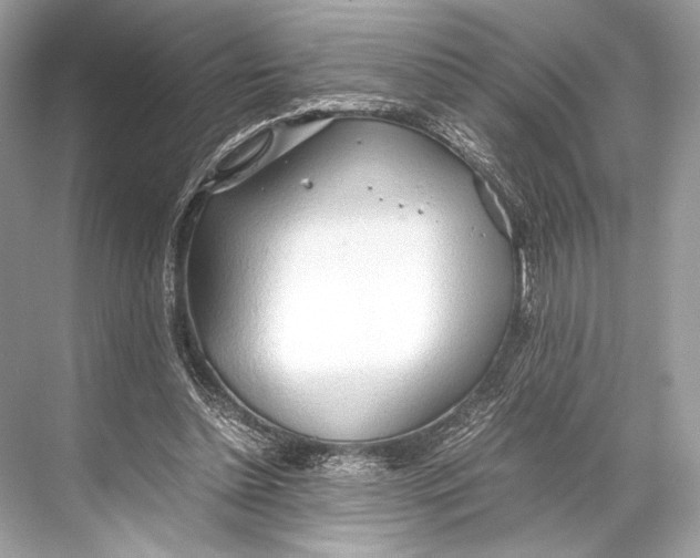 X0000067830348200605041629