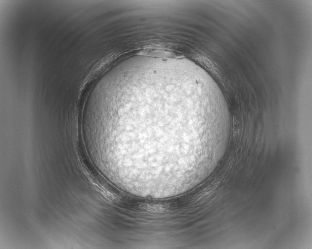 X0000067830349200605041629