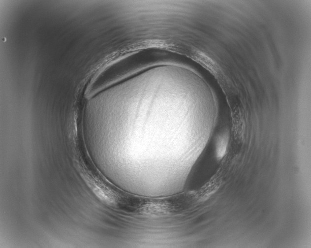 X0000067830350200605041629