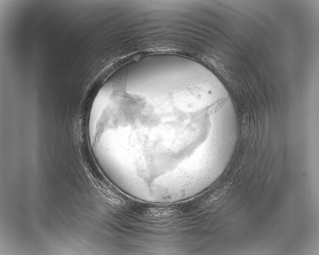 X0000067830351200605041629