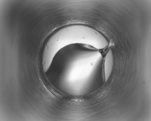 X0000067830352200605041629