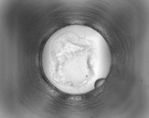 X0000067830353200605041629