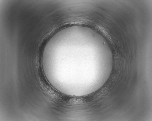 X0000067830354200605041629