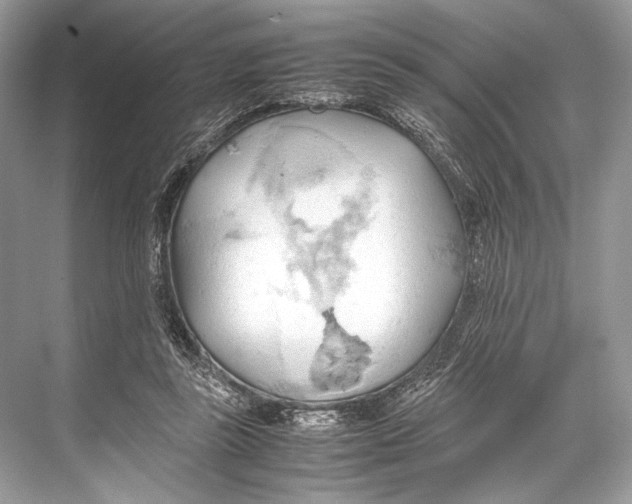 X0000067830355200605041629