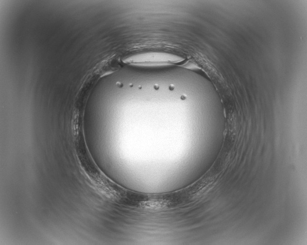 X0000067830356200605041629