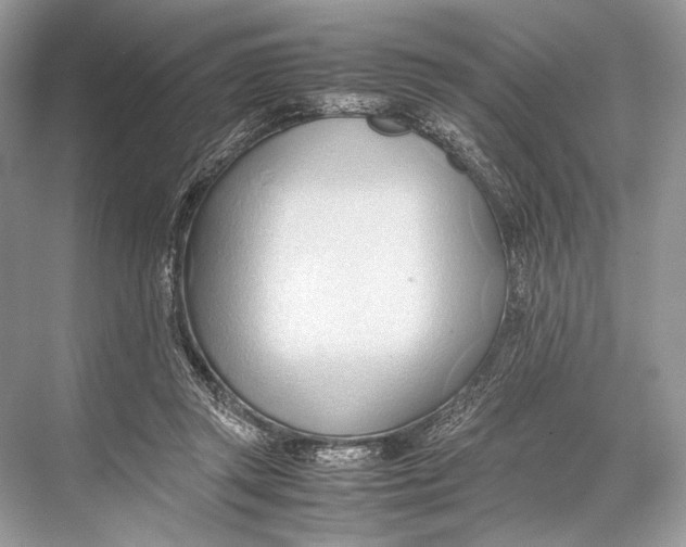 X0000067830357200605041629