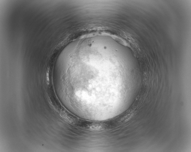 X0000067830358200605041629