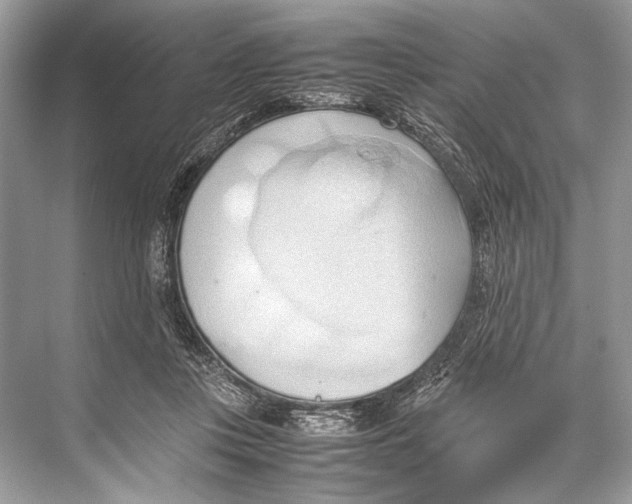 X0000067830359200605041629