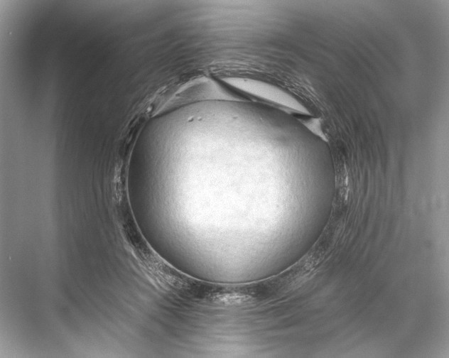 X0000067830360200605041629