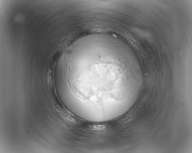 X0000067830361200605041629