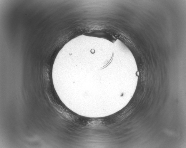 X0000067830362200605041629