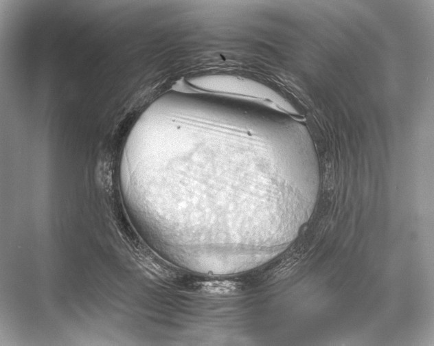 X0000067830363200605041629