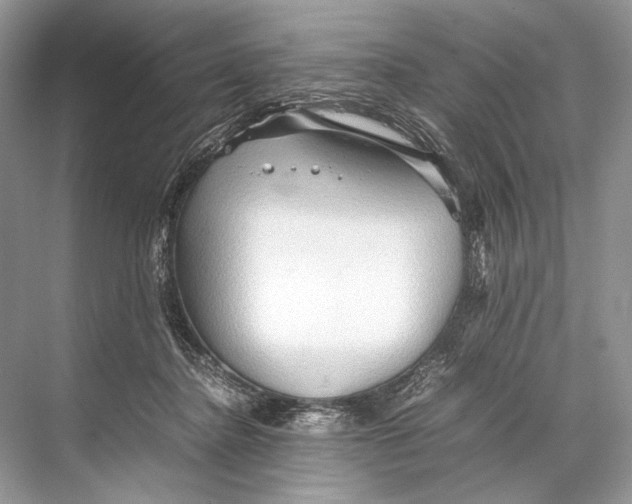 X0000067830364200605041629