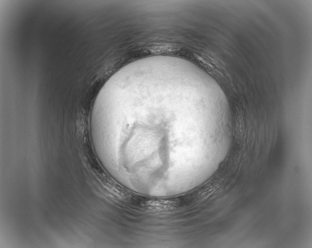 X0000067830367200605041629