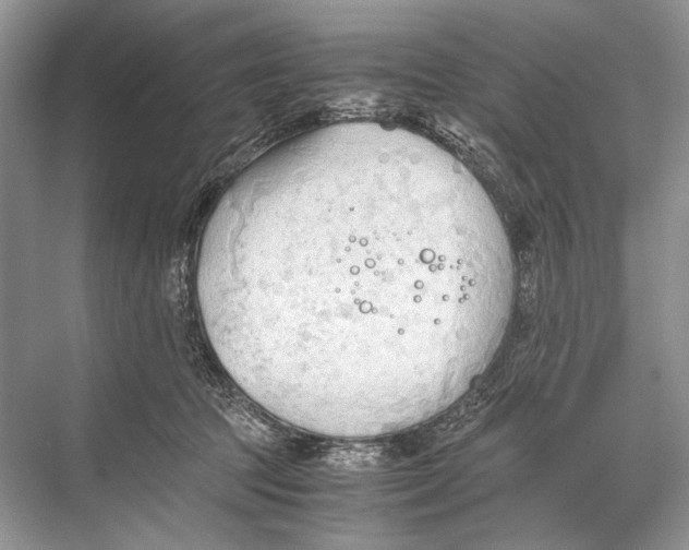 X0000067830369200605041629