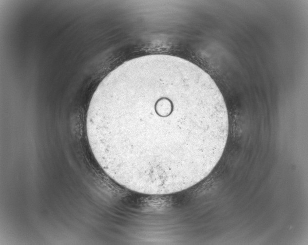 X0000067830370200605041629