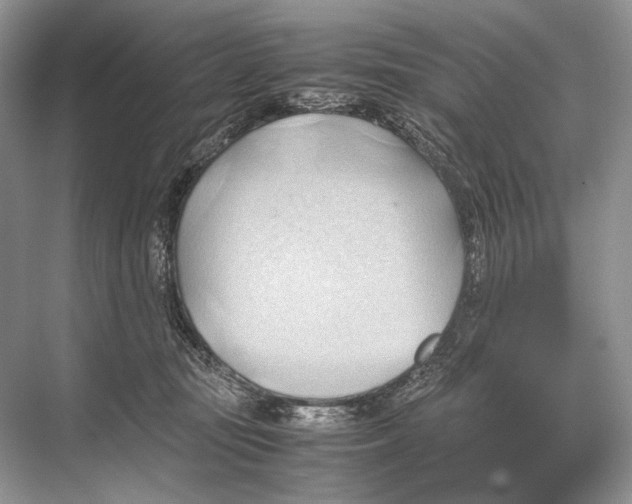 X0000067830371200605041630